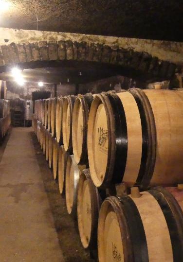 bourgogne 2017 caves     Violot 