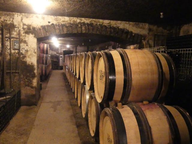 bourgogne 2017 caves     Violot 